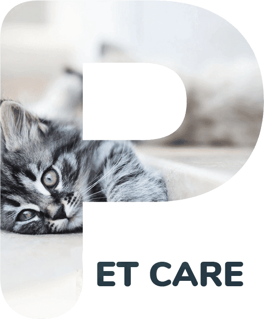 In Home Pet Care